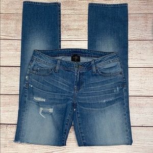 Genetic Denim The Liam Straight Leg Jeans